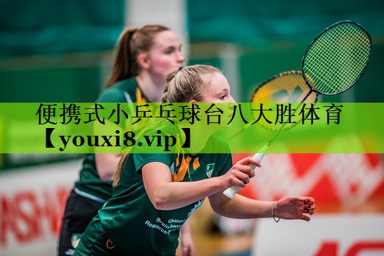 便携式小乒乓球台八大胜体育