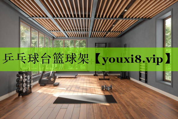 乒乓球台篮球架