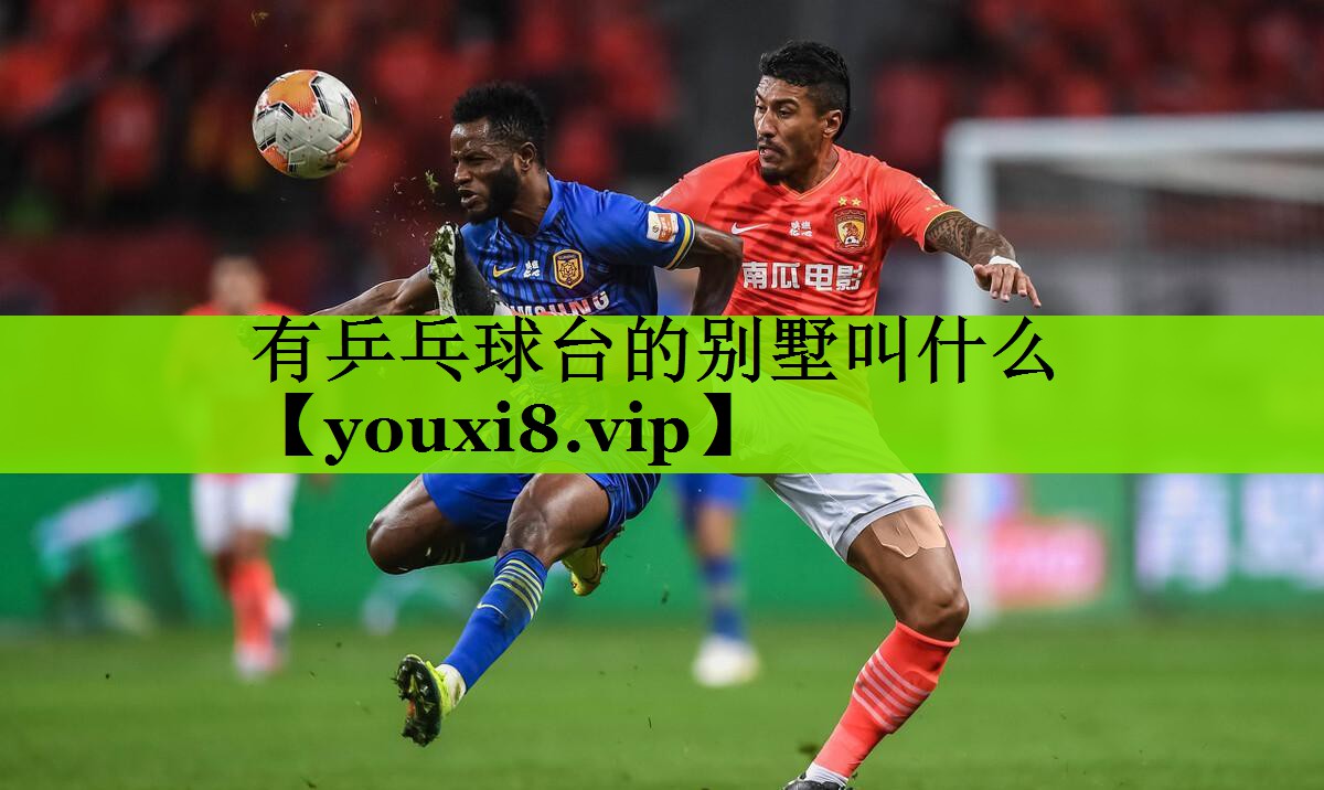 有乒乓球台的别墅叫什么