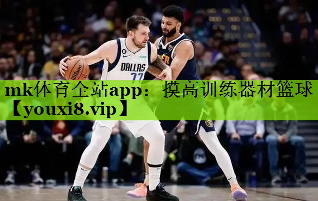 mk体育全站app：摸高训练器材篮球