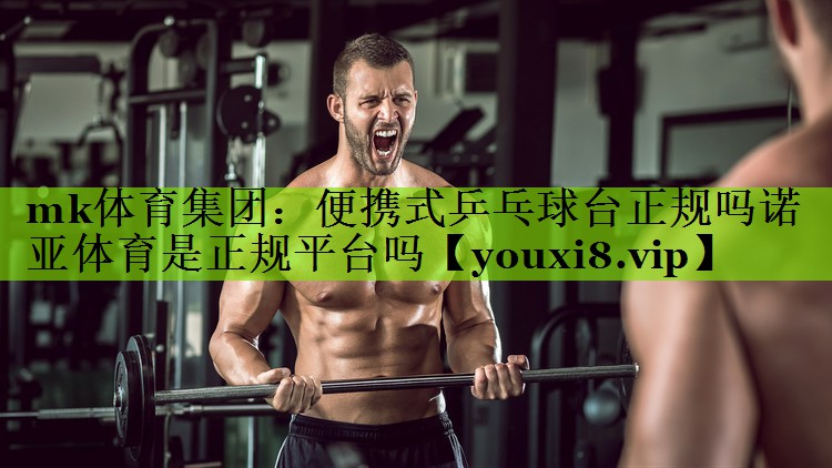 mk体育集团：便携式乒乓球台正规吗诺亚体育是正规平台吗