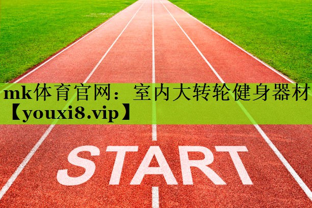 mk体育官网：室内大转轮健身器材