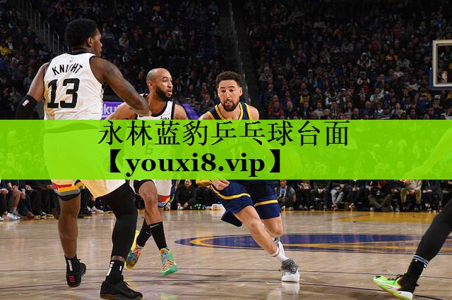 永林蓝豹乒乓球台面