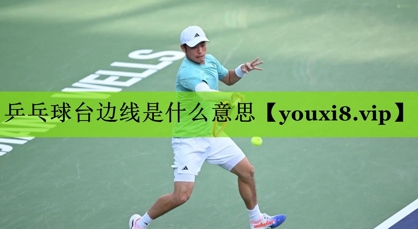乒乓球台边线是什么意思