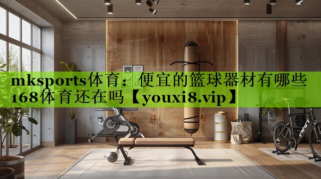 mksports体育：便宜的篮球器材有哪些168体育还在吗