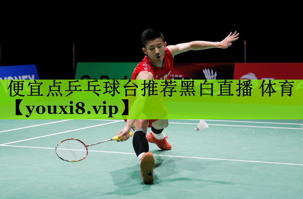 便宜点乒乓球台推荐黑白直播 体育