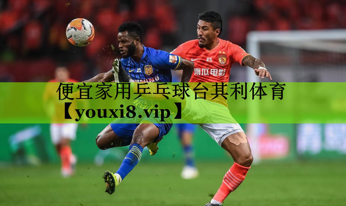 便宜家用乒乓球台其利体育
