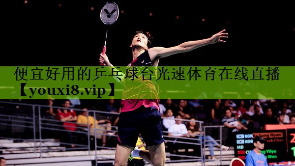 便宜好用的乒乓球台光速体育在线直播