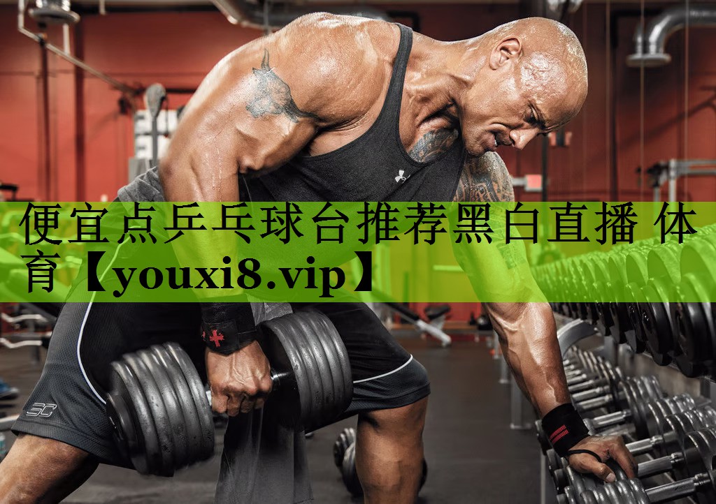 便宜点乒乓球台推荐黑白直播 体育