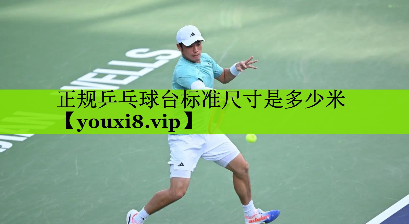 正规乒乓球台标准尺寸是多少米