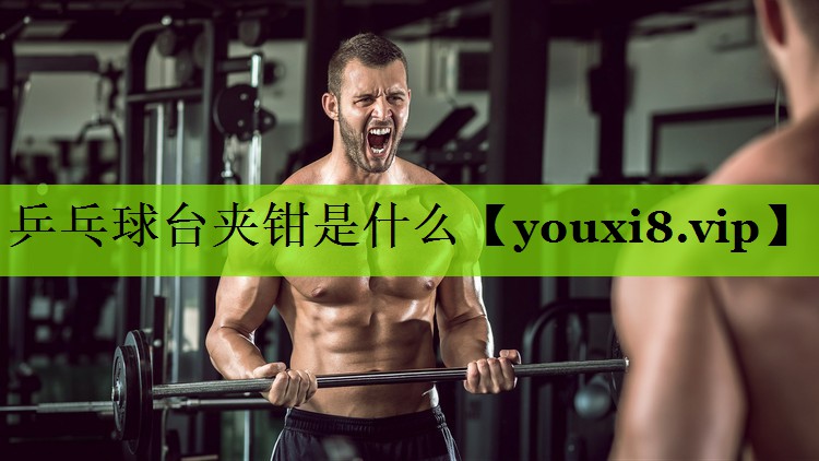 乒乓球台夹钳是什么