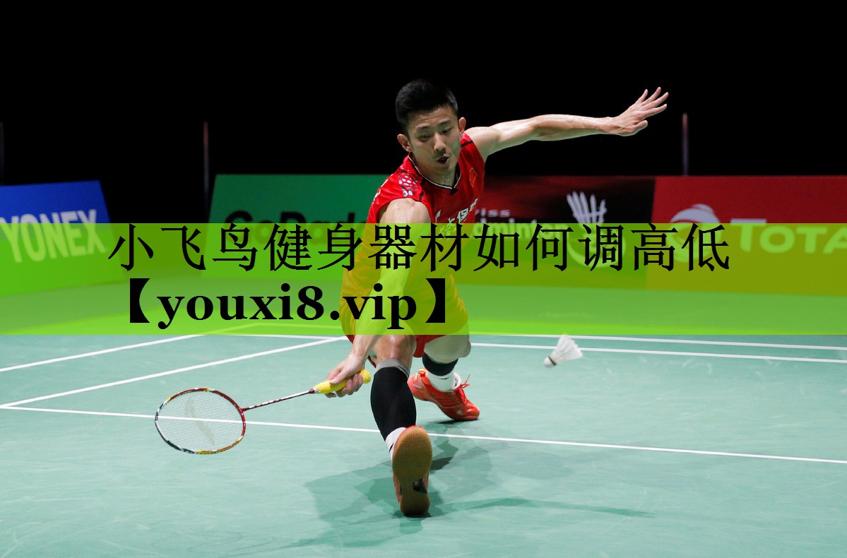 小飞鸟健身器材如何调高低