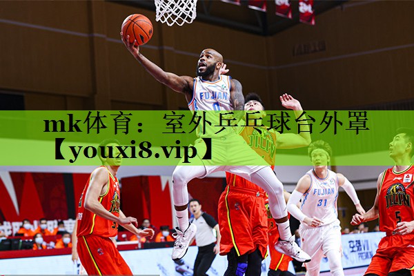 室外乒乓球台外罩