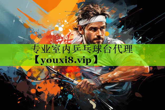 专业室内乒乓球台代理 专业室内乒乓球台代理