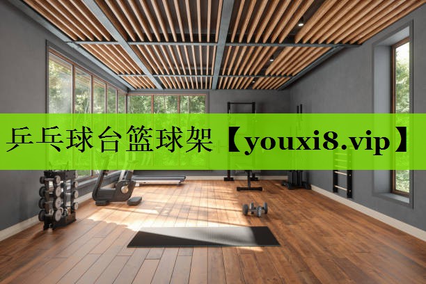 乒乓球台篮球架