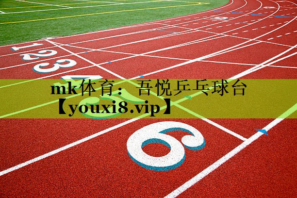 吾悦乒乓球台
