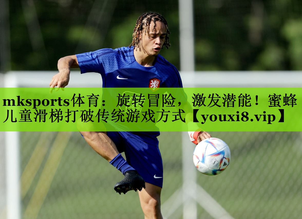 旋转冒险，激发潜能！蜜蜂儿童滑梯打破传统游戏方式
