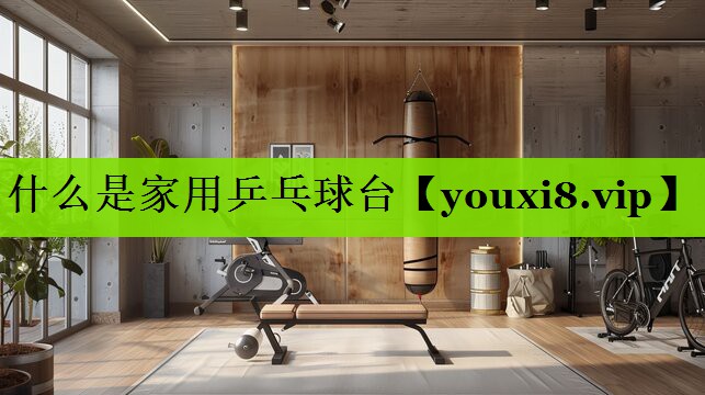 什么是家用乒乓球台