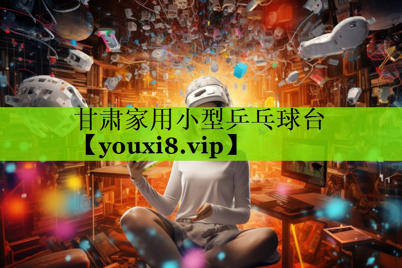 甘肃家用小型乒乓球台