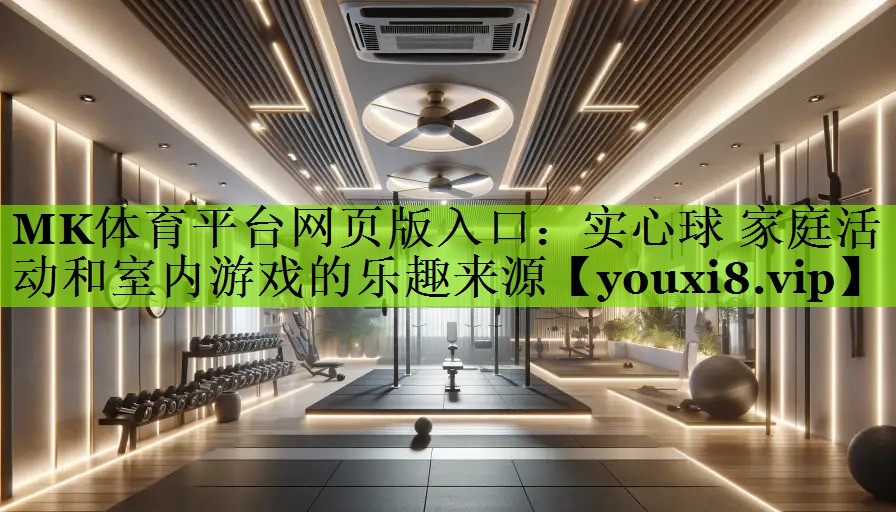 实心球 家庭活动和室内游戏的乐趣来源