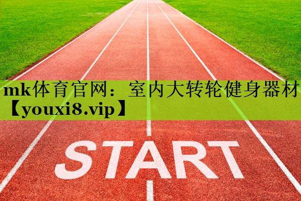 室内大转轮健身器材