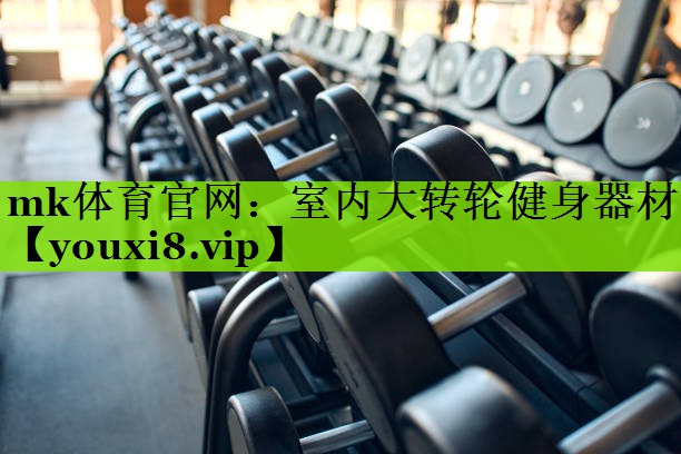 室内大转轮健身器材