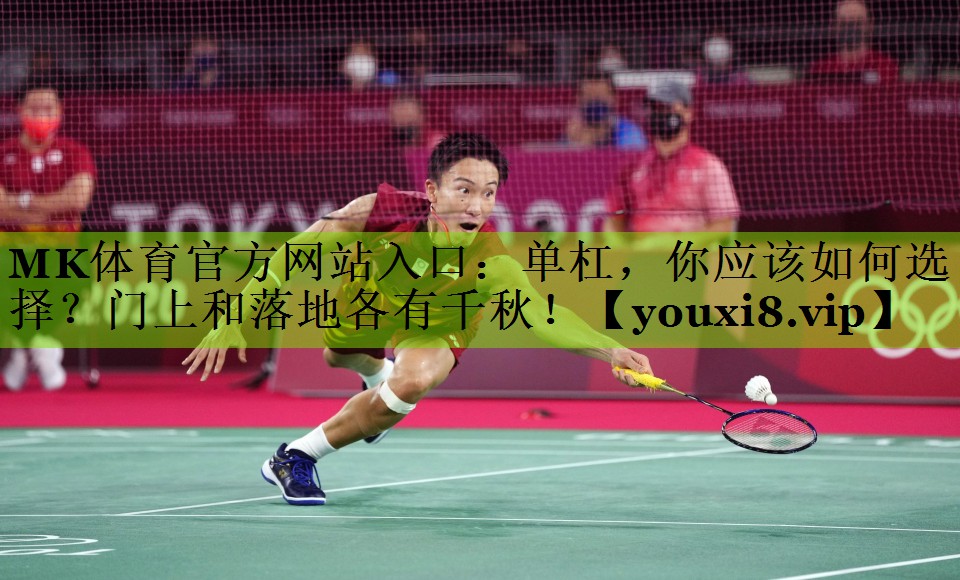 单杠，你应该如何选择？门上和落地各有千秋！