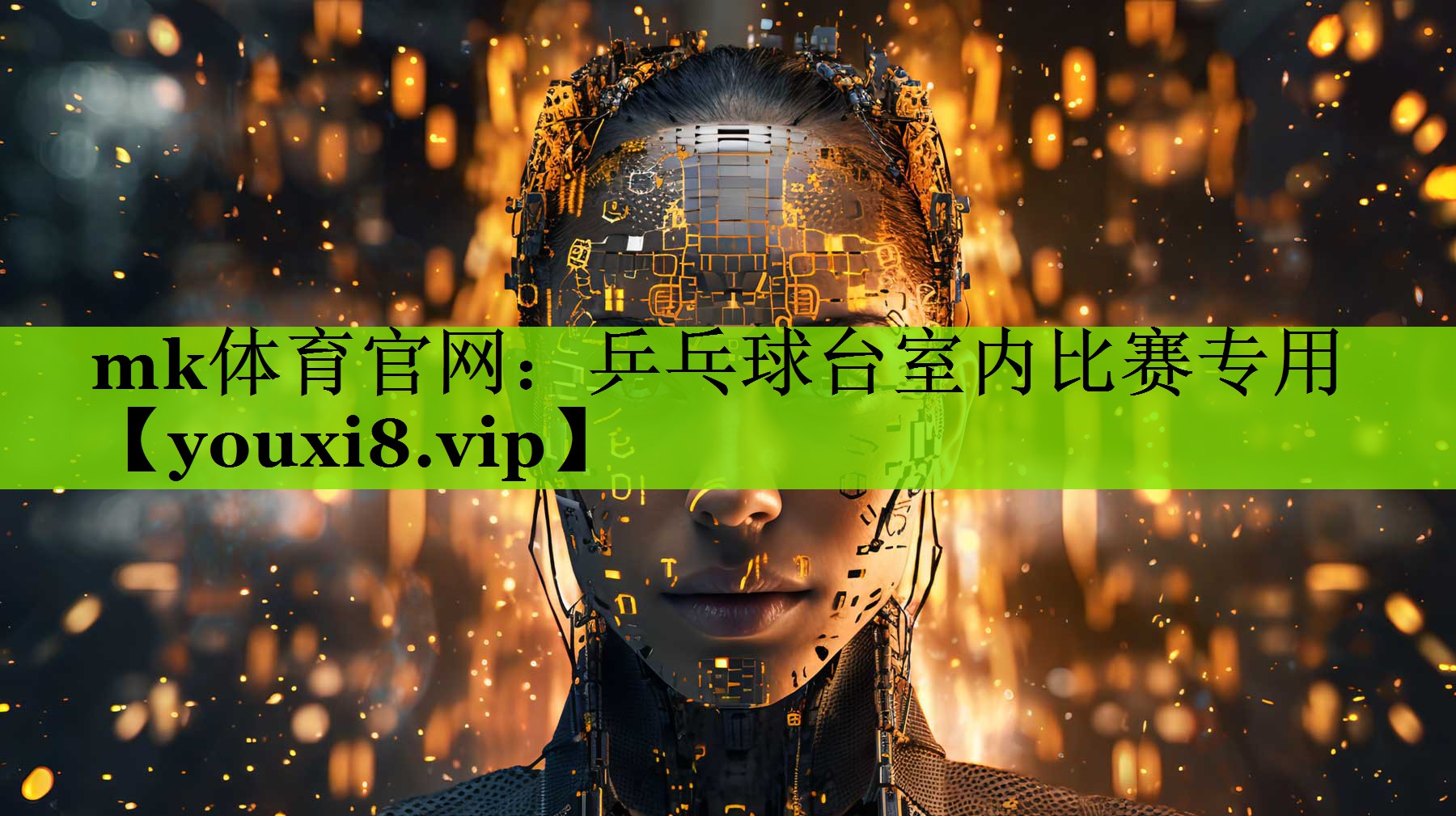乒乓球台室内比赛专用