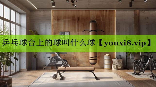 乒乓球台上的球叫什么球